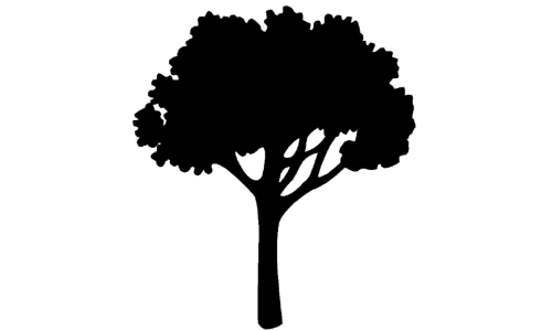 Environmental Wellness Cover Image
